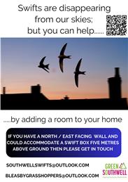 Give Bleasby Swifts a home