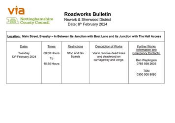 Temporary Traffic signals on Main Street, Bleasby 13th Feb